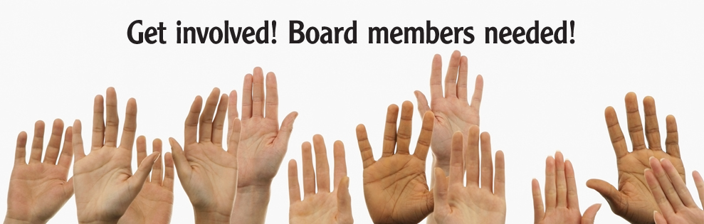 Image result for board members